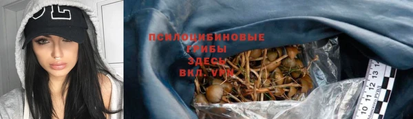 соль ск Алзамай