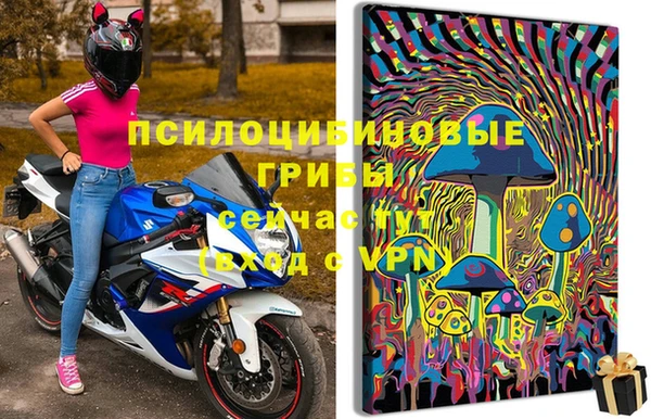 соль ск Алзамай