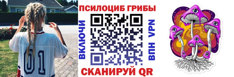 купить наркоту  Новая Ляля  Галлюциногенные грибы прущие грибы 